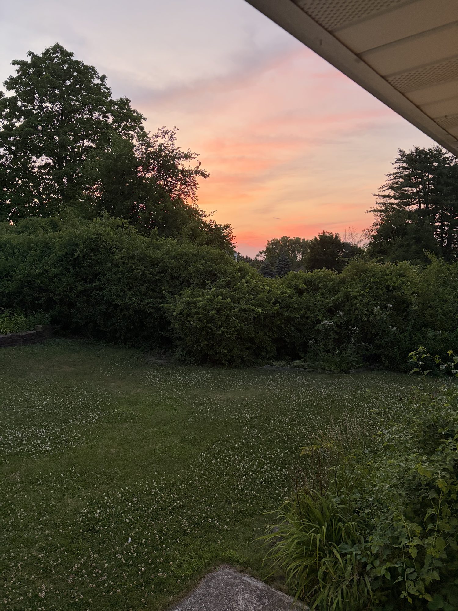 Backyard at golden hour, orange sky over the lawn and fence